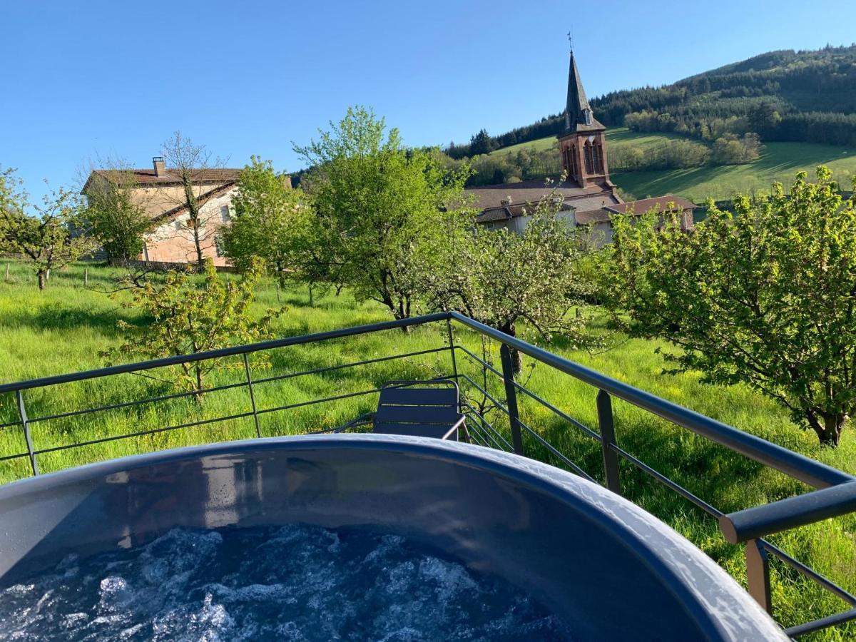 Domaine De La Rue De La Tour Bed & Breakfast Valsonne Exterior photo
